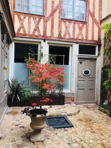 Atelier des Glycines, appartement de charme en centre ville de Troyes dans le Bouchon de Champagne