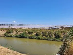 Maison 3 chambres, quartier calme, vue sur les salines ! - 萨林德吉罗