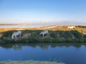 Maisons de vacances Maison 3 chambres, quartier calme, vue sur les salines ! : photos des chambres