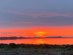 Maisons de vacances Maison 3 chambres, quartier calme, vue sur les salines ! : photos des chambres