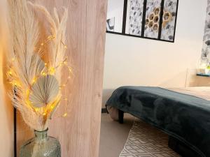 Appartements Studio Charmant hyper centre Cognac : photos des chambres