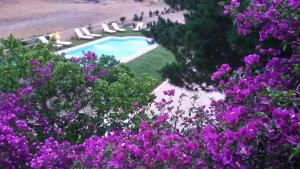 Elli Beach Apartments and Studios Corfu Greece