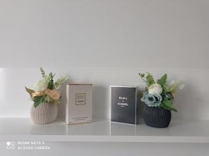 Family flat studio apartment Comfort квартира студия повышенной комфортности