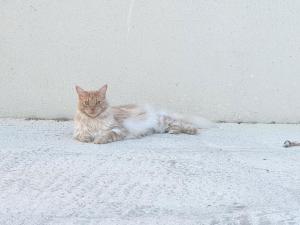 Maisons de vacances Maison 3 chambres, quartier calme, vue sur les salines ! : Maison 3 Chambres