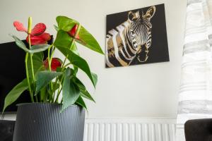 Appartements Lumineux 2 pieces proche Paris et Eurodisney : photos des chambres