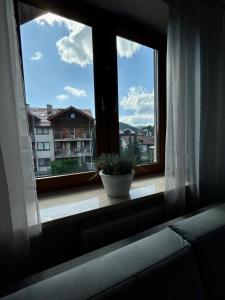 Krynica Apartamenty Apartament z jedną sypialnią i garażem