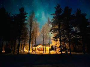 Your Peace Of Lapland