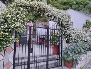 spitaki - Krinídhes