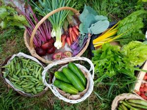 Sejours chez l'habitant Ricouch, chambre d'hotes et permaculture : photos des chambres