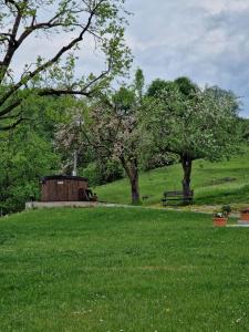 Complex Dealu Frumos