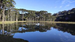 Cabana no Lago, Paz e Aconchego