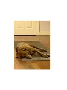 The Castledawson Inn