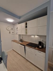 Apartament Zawiśle