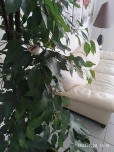 A Poitiers, 2 chambres, très bel appartement de 65 m2
