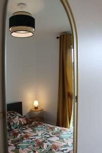 Appartements Logement chaleureux et central : photos des chambres