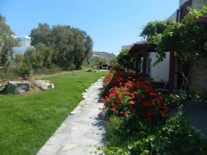 Acti Plaka Hotel Naxos Greece