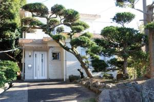 Watatsumi no Yado 1981 - Vacation STAY 55945v