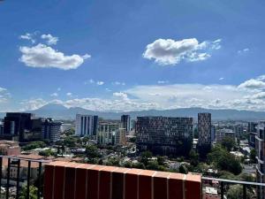 Luxury Apartment in zone 10