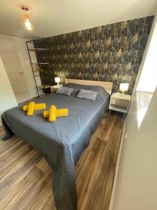 Appartements Gite Centre Alsace proche d’Europa Park : photos des chambres