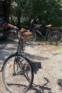 Madeleine sous son platane