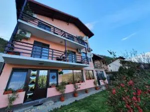 Casa Darian - Nova Banja