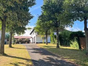 Apartment 100 qm im Weindorf - Balkon/Garage - Wolfsheim