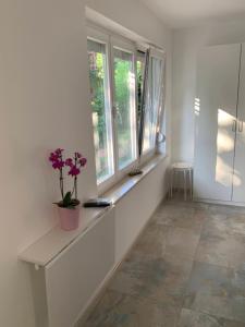 Sheltered green oasis in Opatija