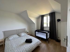 Appartements Chez KS, cottage au calme proche d'Orleans : photos des chambres