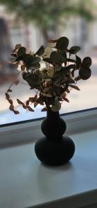 Апартаменти на Лесі Українки Центр 5хв Старе місто Парк