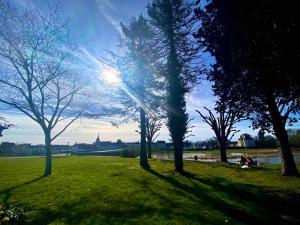 Maisons de vacances Demeure de Miseray Coeur de Sologne : photos des chambres