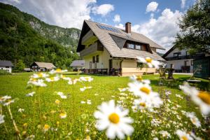Apartments Darinka Mencinger - 3hvězdičkové hotely ve městě Bohinj