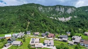 Apartments Darinka Mencinger