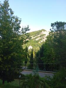 B&B BORGORI
