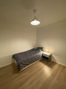 Spacious 2 bedroom flatparkingclose to Paris