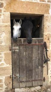 Auberges Ferme de la Dhuys : photos des chambres