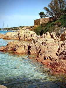 Only One Piccolo Pevero img15