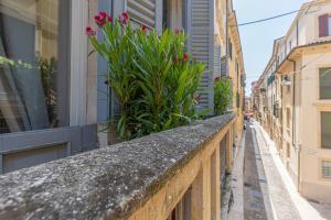 Corte Realdi - Palazzo Camozzini