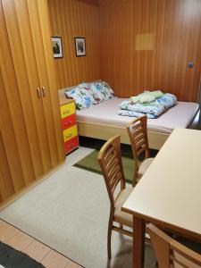 Pocket apartment Rogla - Gaber 121 