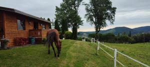 Chalets Domaine le lanis 