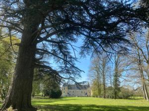 Maisons d'hotes Chateau des Feugerets : photos des chambres