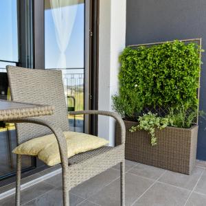 Mountain paradise Zlatibor