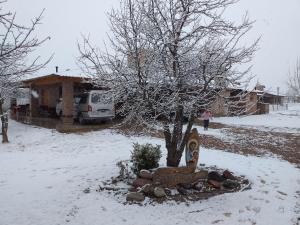 San José del Atuel Loadge