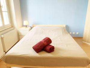 Appartements Le Coligny by iZiLi *Calme*Centre-ville*CHU* : photos des chambres