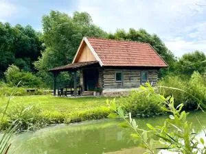 Country House - Valea Tîrnei