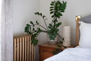 Victoria Design Stays - Premium Apartment Ohrada