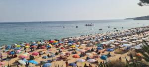 Luxury two BR pool view beach side apartment at Algarves longest beach