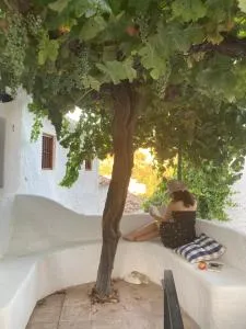 Las casillas de la Villa ALEGRÍAS - Lojilla