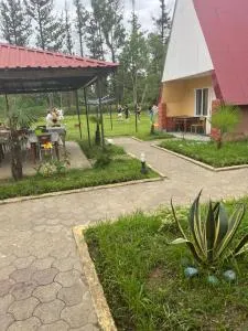 Ureki cottage Guria Street between 24- 26 Georgia Olympia - Kuchkisabano