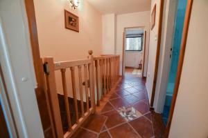 Apartman Konaci