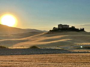 Podere Le Volpaie - Arancia